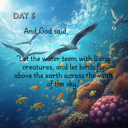 Story of Creation